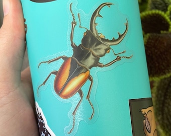 Stag Beetle Clear Waterproof Vinyl Sticker