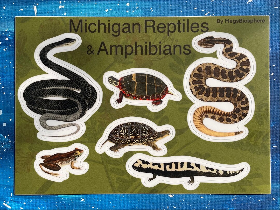 Michigan Reptiles and Amphibians Waterproof Vinyl Scientific