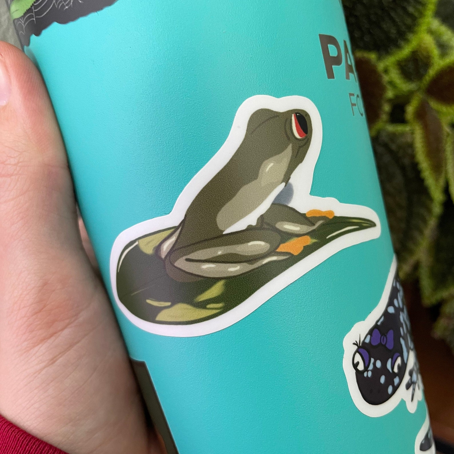 Red Eyed Tree Frog Waterproof Vinyl Sticker or Magnet - Etsy