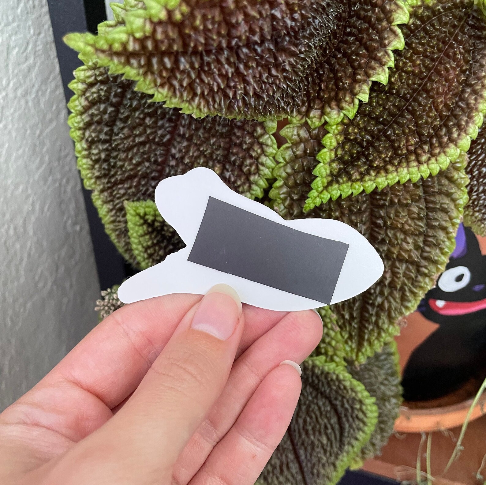 Red Eyed Tree Frog Waterproof Vinyl Sticker or Magnet - Etsy
