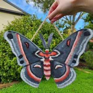 Wooden Cecropia Moth