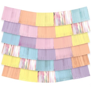 60" Pastel Fringe Backdrop | Gender Reveal Party | Boy Or Girl | Gender Reveal Party Backdrop | Baby Shower | Pastel Decoration Background