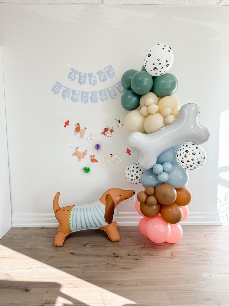 Weiner Balloon Garland Kit