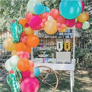 Taco Fiesta Balloon Garland DIY Kit | Rainbow Balloon Arch | Cactus Balloon Garland | Rainbow Party Theme Birthday | Colorful Balloons