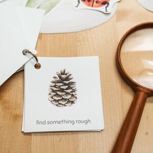 Nature Learning Scavenger Hunt Cards for Kids | Screen Free Activities Preschool