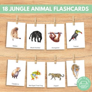 16 Jungle Animal Flashcards, 3 Part Cards, Printable Montessori Materials, Toddler Activity, Pre K, Homeschool, Clipart, Morning Basket