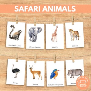 18 cartes mémoire animaux de safari, cartes en 3 parties, matériel Montessori imprimable, activité pour tout-petits, maternelle, école à la maison, panier du matin