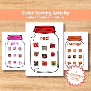 Color Matching Activity, Real Pictures Sorting Jars, Preschool Printable (Digital Download)