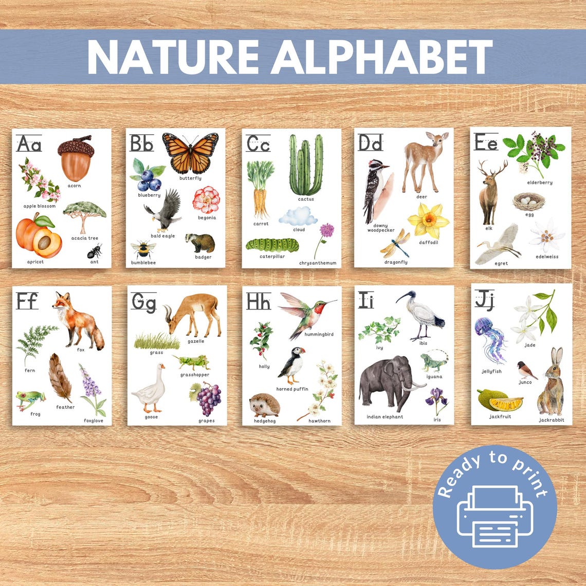 Nature Abc Rocks Nature ABC Cards, Charlotte-mason Alphabet Flashcards - Etsy