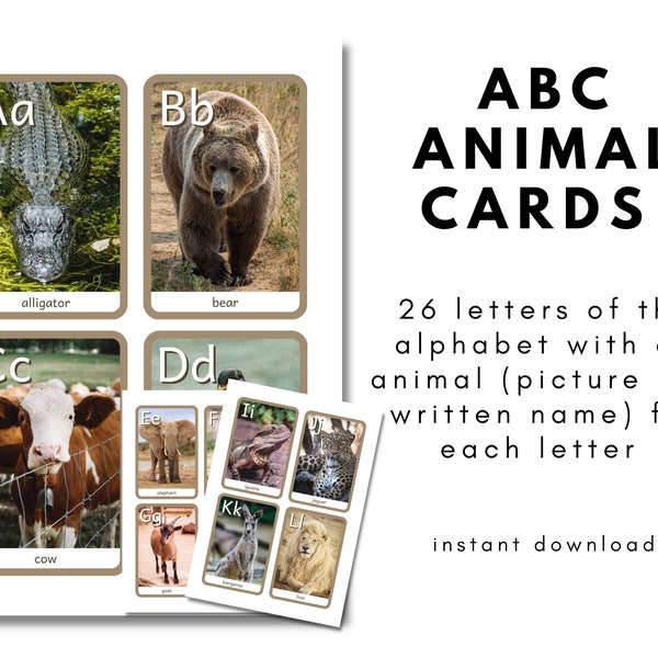 ABC Alphabet Animal Cards with Real Pictures, Montessori Alphabet Animal Cards, Toddler Preschool Alphabet Learning *digital download*