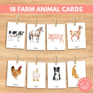 18 Farm Animal Flash Cards, Toddler Flashcards Activity, 3 Part Cards, Printable Montessori Materials, Pre K, Homeschool, Morning Basket
