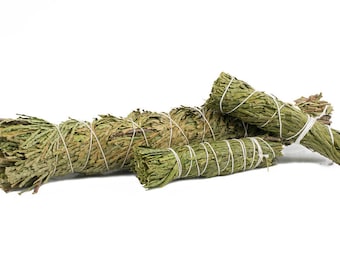 cedar, red cedar, cedar leaves, bundles, cedar