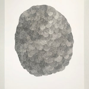 Fine Art Print - &quot;Feathered&quot;