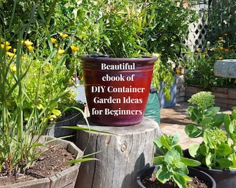 Crea ideas de jardinería DIY con lo que ya tienes / Instrucciones completas incluidas /