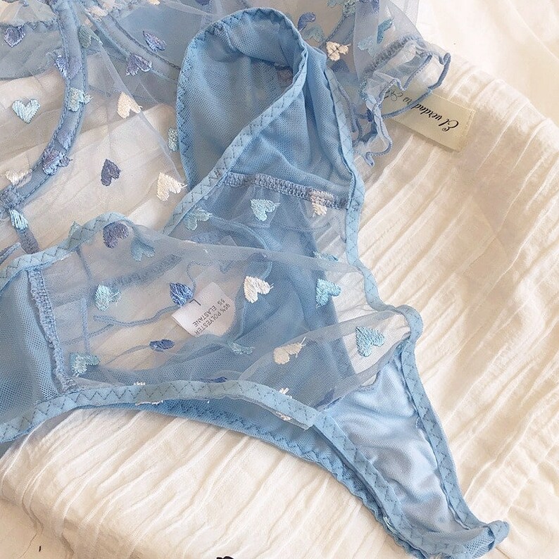 Embroidered Pretty Bra Panty Set See Through Baby Blue - Etsy