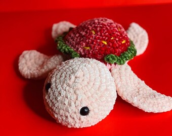 Sea Turtle