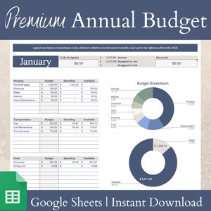 Premium Annual Budget Spreadsheet | Google Sheets | Budget Binder | Budget Planner | Monthly Budget