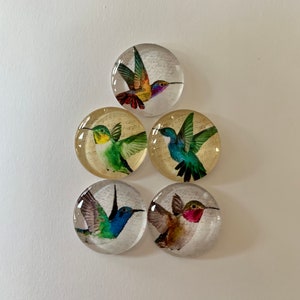 Hummingbird Round Glass Tile Magnets Set of 5