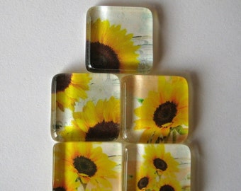 Sunflowers Square Glass Tile Magnets Set of 5