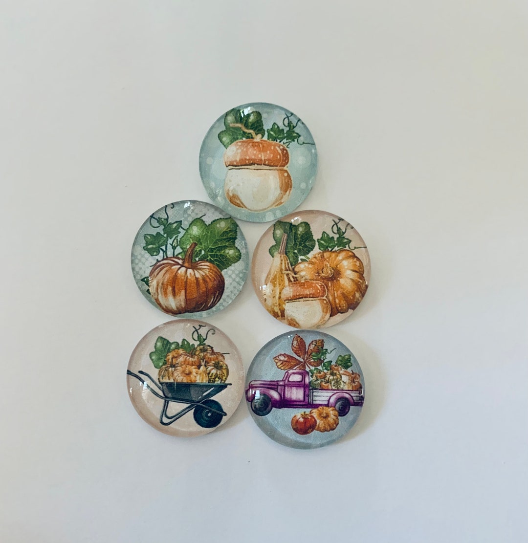 Fun Pumpkin and Autumn Round Glass Tile Magnets Set of 5 - Etsy