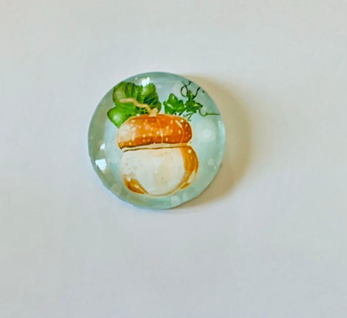 Fun Pumpkin and Autumn Round Glass Tile Magnets Set of 5 - Etsy