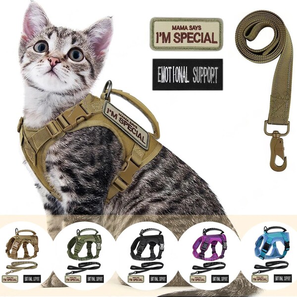 Cat Harness Etsy