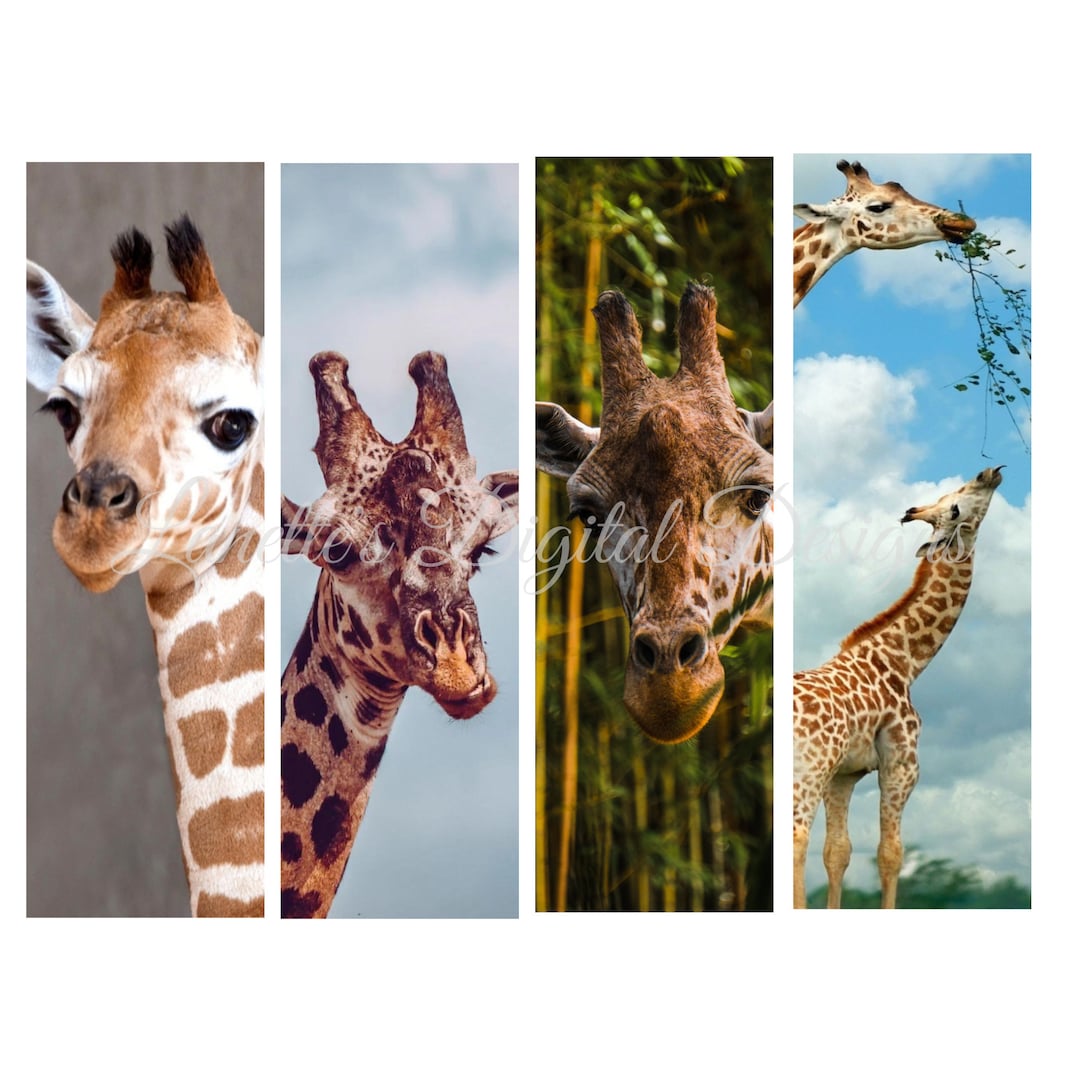 Giraffe, Pen Wraps, Instant Download, PNG, Digital File Etsy