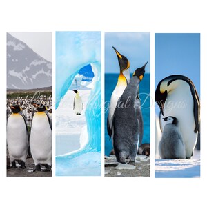 Penguin, Pen Wraps, Instant Download, PNG, Digital File