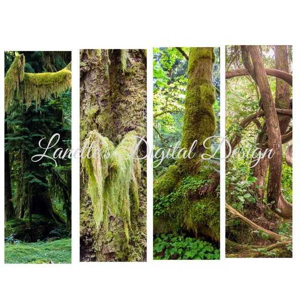 Rain Forest, Pen Wraps, Instant Download, Digital File, PNG