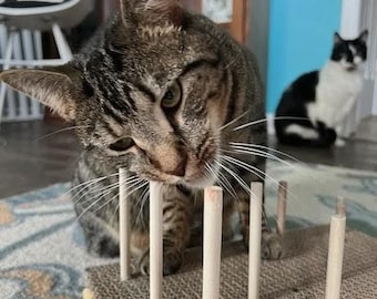 May include: A brown and black tabby cat interacts with a square cardboard scratching toy featuring several vertical wooden dowels. In the background, a black and white cat sits on a patterned rug, while a white chair is visible to the left.
