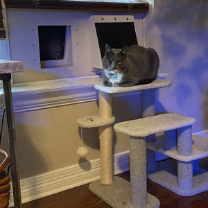 May include: A grey cat with a white chest patch sits on a multi-level cat tree covered in light grey carpet. The cat tree features sisal-wrapped scratching posts and a hanging white pom-pom toy. The cat is positioned in front of a window.