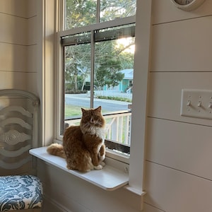 Window Shelf Extension for Pets or Plants - No Braces
