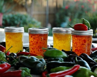 Promotional Materials