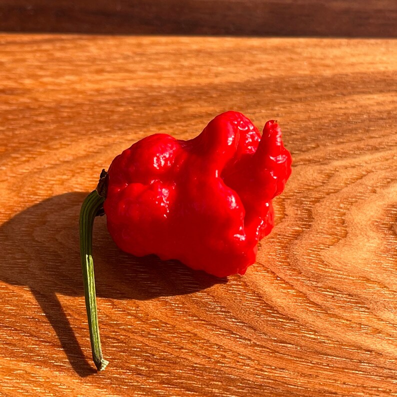 Extreme Raspberry Carolina Reaper Pepper Jelly Etsy