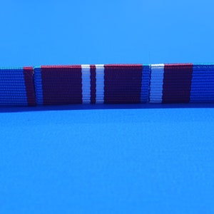 Pochette giubilare in oro, diamanti e platino della Regina e barra con spilla