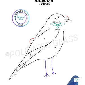 May include: A black and white line drawing of a bluebird with the numbers 1 through 7 on the bird. The drawing is labeled "Bluebird" and "7 Pieces". The text "Poloinzio Glass" is written on the drawing. A colored image of a bluebird is shown on the right side of the image.