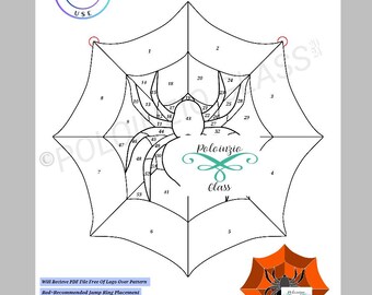 May include: A black and white line art pattern of a spider on a web with 53 numbered pieces. The pattern is labeled "Spider On Web" and "Poloinzio Class".