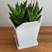 see more listings in the Plant pots section