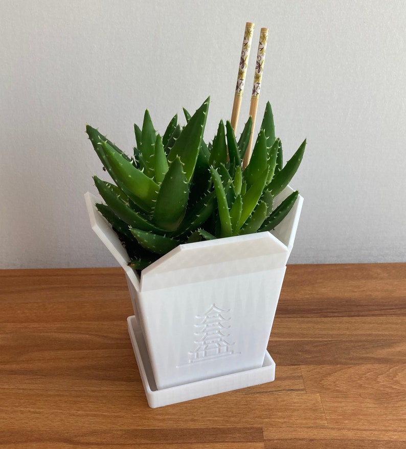 Chinese Takeout Box Flower Pot Planter made of bioplastic in Chinese takeout box design Plant pot 3D printing Large image 1