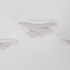 Innovative Mushroom Shaped Wall Shelf 3x Two-piece removable and minimalist storage system, comes with screws image 7