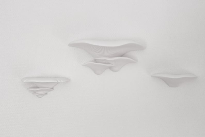 Innovative Mushroom Shaped Wall Shelf 3x Two-piece removable and minimalist storage system, comes with screws image 7