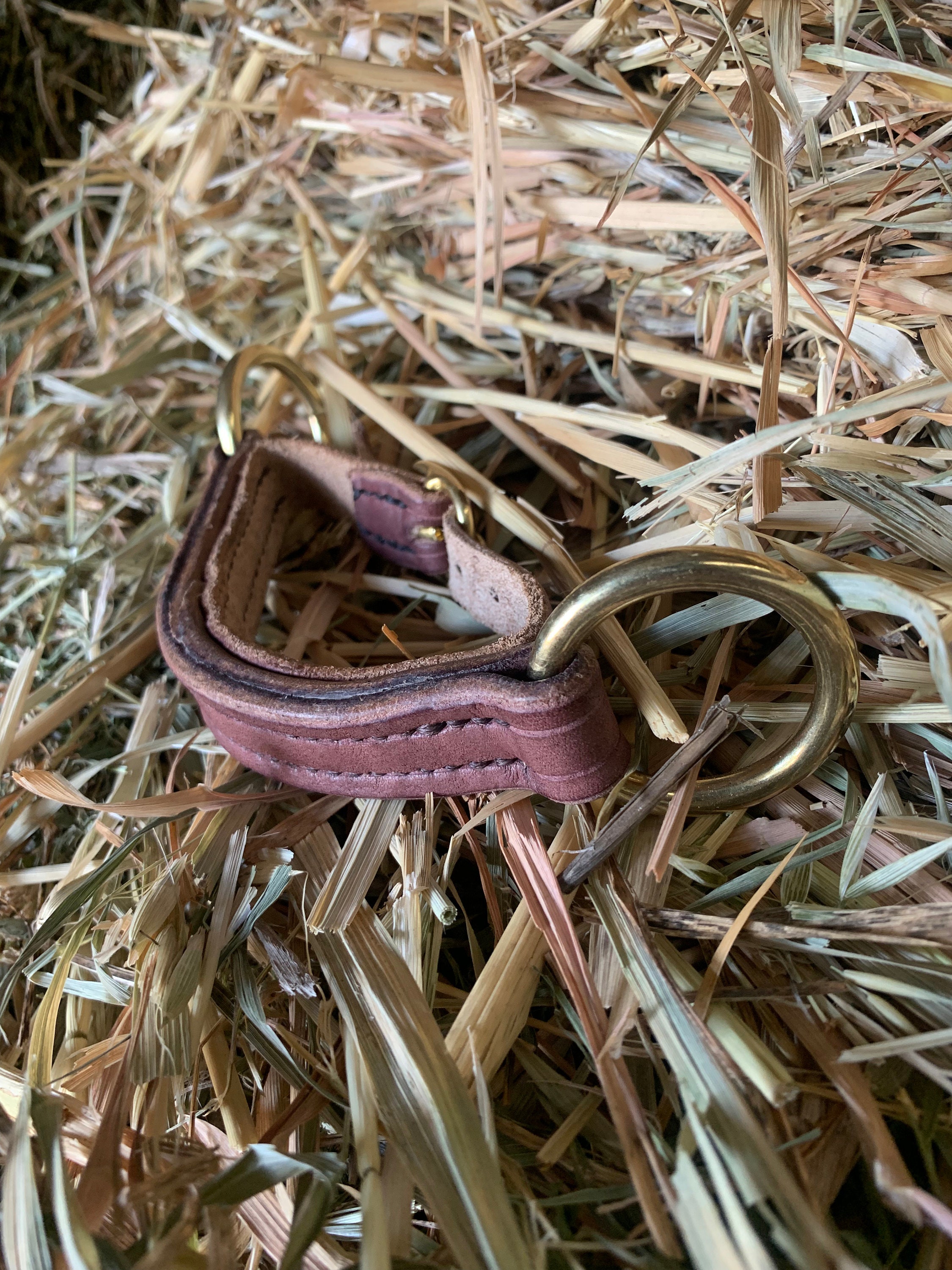 Bridleless Bit. Leather Horse Bit. Etsy