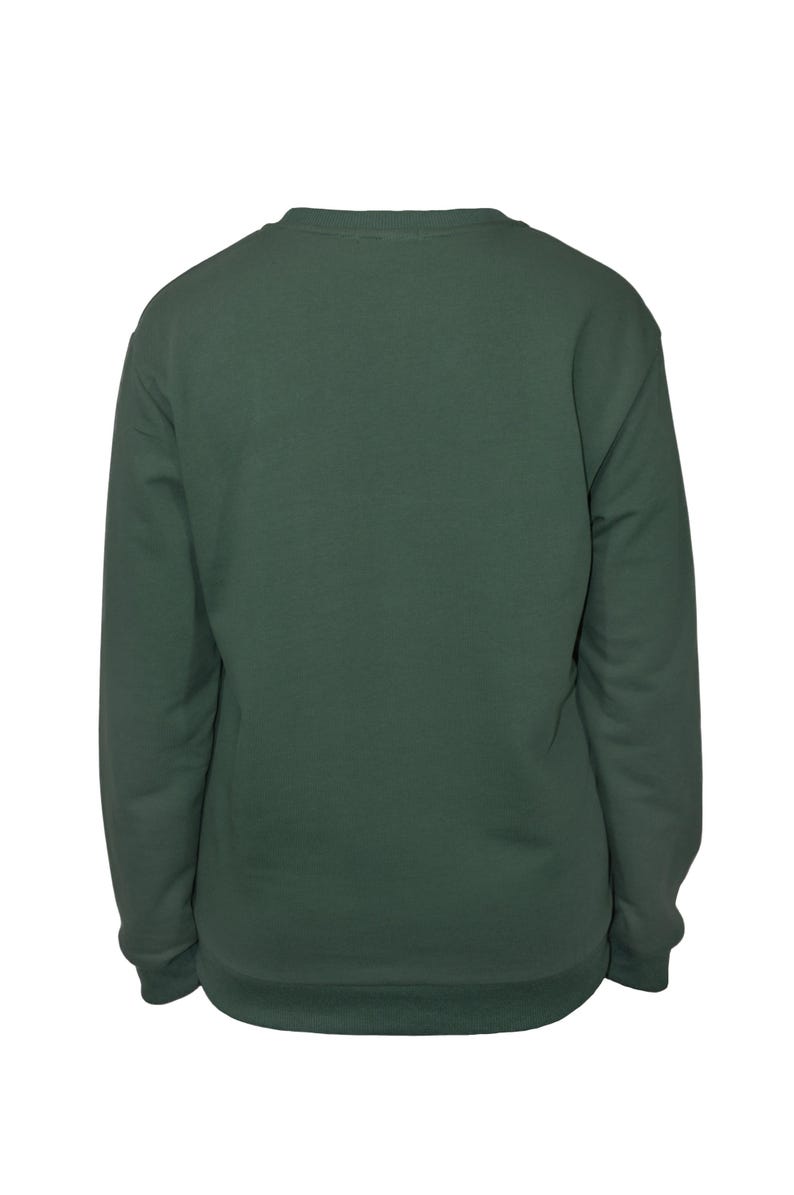 Charlotte Sweatshirt, Charlotte North Carolina Schmetterlinge, bestickter CLT Rundhalsausschnitt Bild 2