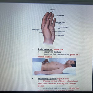 Introduction to Physical Assessment for Nursing/ Nursing School Notes