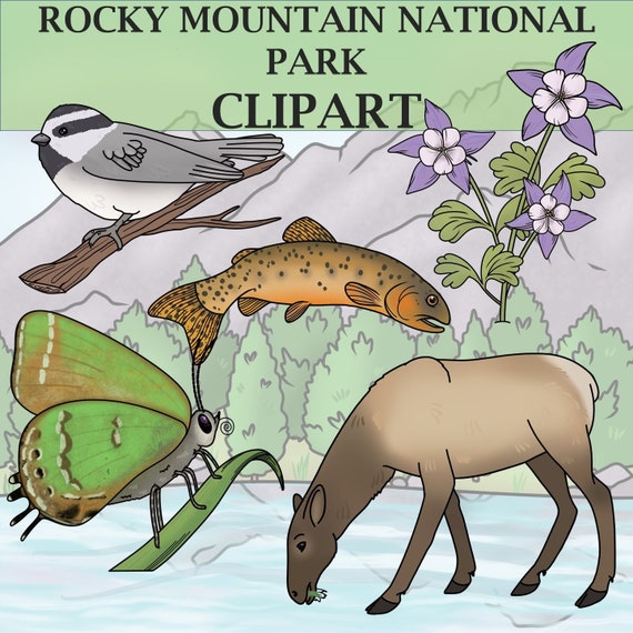 Plants and Animals of Rocky Mountain National Park Clipart - Etsy Plants and Animals of Rocky Mountain National Park Clipart - Etsy