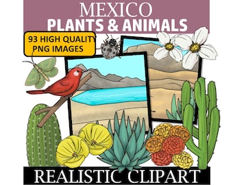 Mexico Clipart - Plants and Animals of Mexico Clip Art