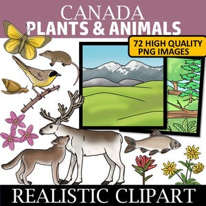 Images clipart canadiennes - Animaux et plantes du Canada clipart