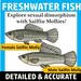 Freshwater Fish Clip Art (freshwater Fish of North America Clipart) - Etsy