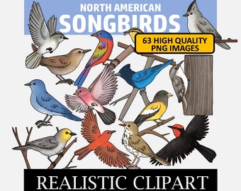 Songbirds Clip Art (North American Songbirds Clipart)