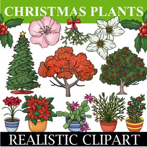 Christmas Clip Art (Holiday Clip Art)